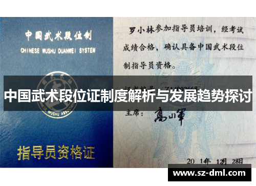 中国武术段位证制度解析与发展趋势探讨
