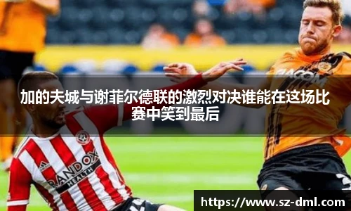 加的夫城与谢菲尔德联的激烈对决谁能在这场比赛中笑到最后